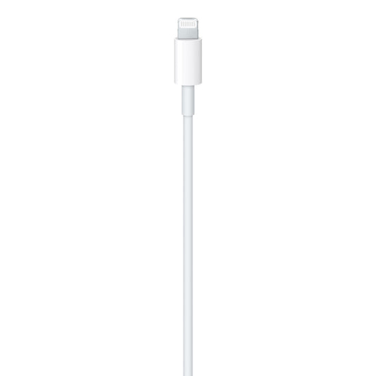 USB-A to Lightning Cable (1 m)