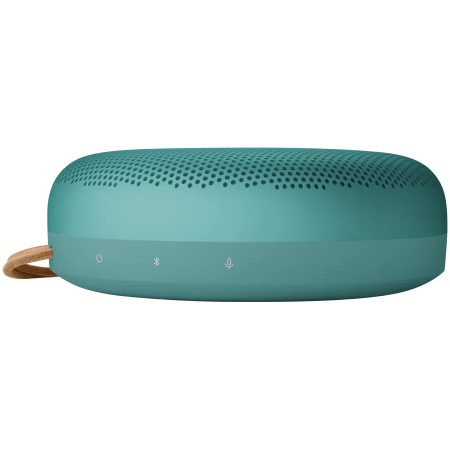 Beosound A1 3rd Gen Eucalyptus Green