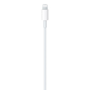 USB-A to Lightning Cable (1 m)