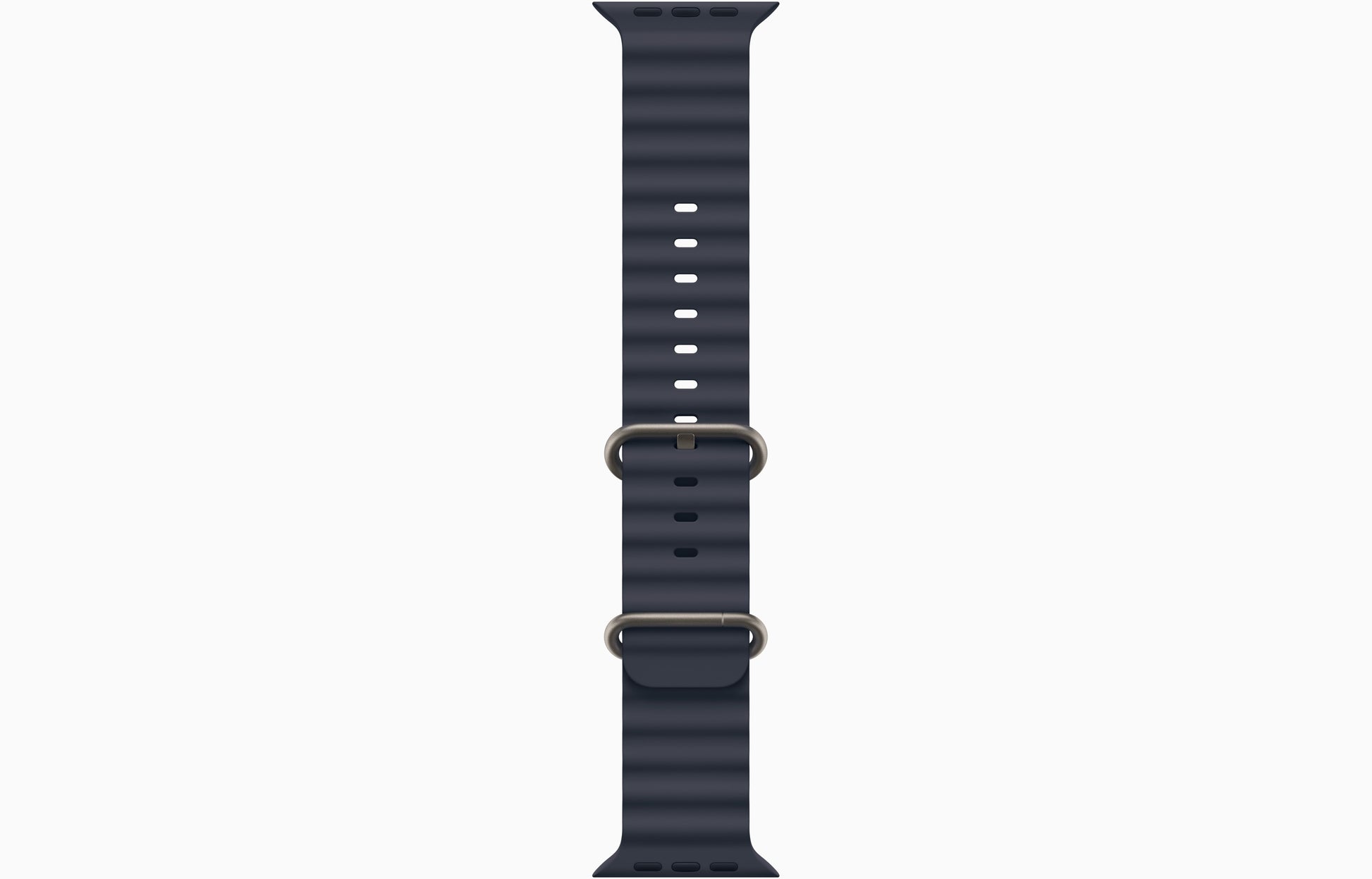 Apple Watch Ultra 2 Titanium Case with Ocean Band