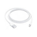 USB-A to Lightning Cable (1 m)