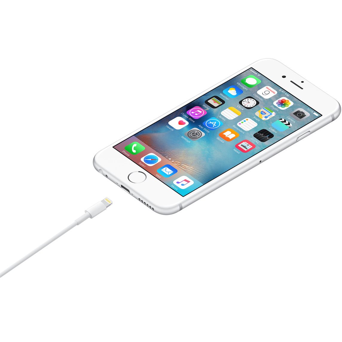 USB-A to Lightning Cable (1 m)